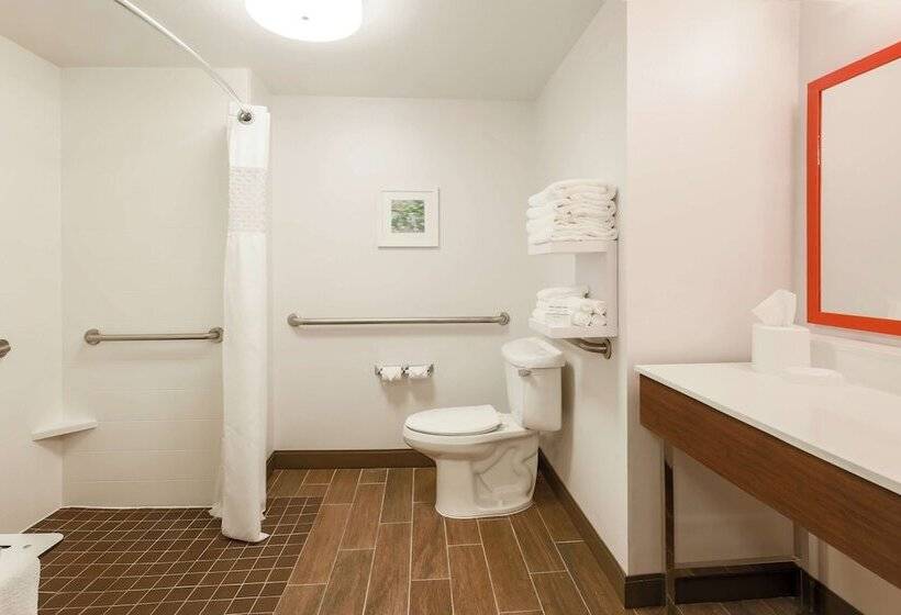 Chambre Standard Lit Double Adaptée aux Personnes à Mobilité Réduite, Hampton Inn & Suites Tallahassee I10thomasville Rd