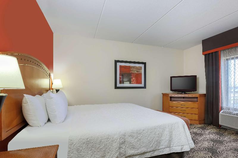 اتاق استاندارد با تخت بزرگ, Hampton Inn & Suitesdallas Allen