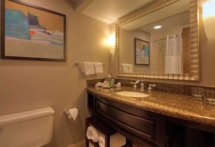 اتاق استاندارد با تخت بزرگ, Hilton Columbus/polaris