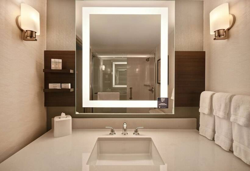 اتاق استاندارد, Hilton Garden Inn Detroit Metro Airport