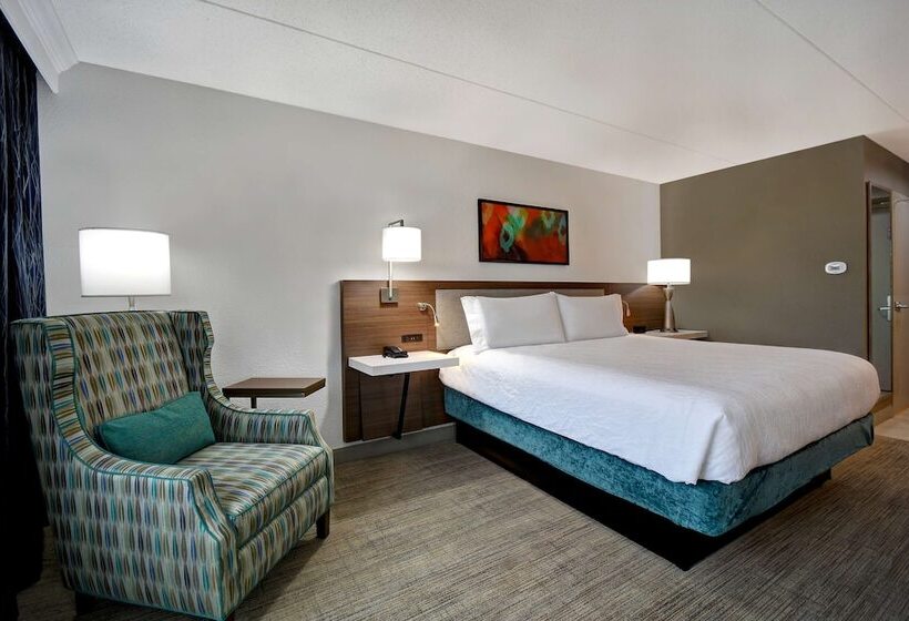 Quarto Estandar, Hilton Garden Inn Detroit Metro Airport