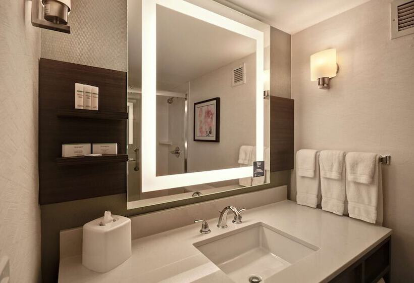 اتاق استاندارد, Hilton Garden Inn Detroit Metro Airport