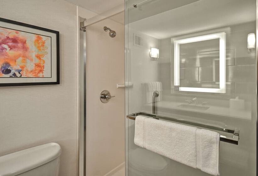 اتاق استاندارد, Hilton Garden Inn Detroit Metro Airport