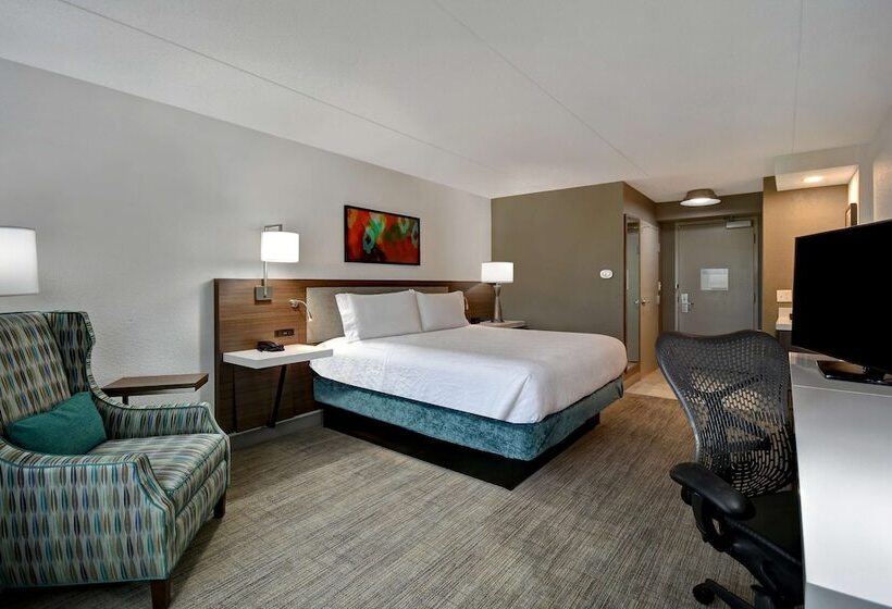 Chambre Standard, Hilton Garden Inn Detroit Metro Airport