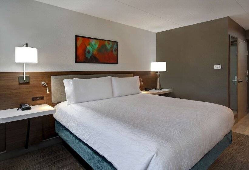 اتاق استاندارد, Hilton Garden Inn Detroit Metro Airport