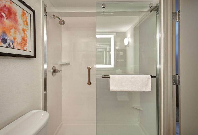 اتاق استاندارد, Hilton Garden Inn Detroit Metro Airport
