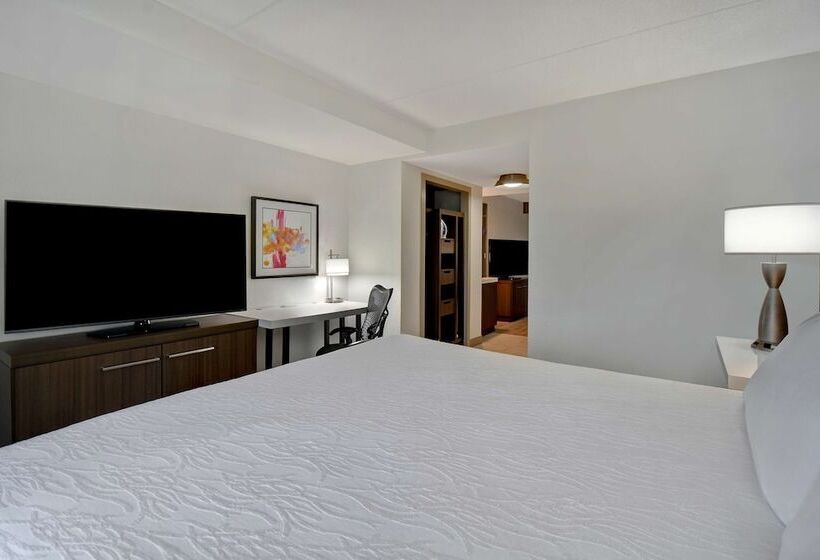 اتاق استاندارد, Hilton Garden Inn Detroit Metro Airport