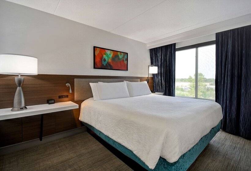 اتاق استاندارد, Hilton Garden Inn Detroit Metro Airport