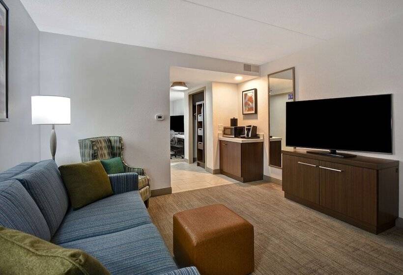 اتاق استاندارد, Hilton Garden Inn Detroit Metro Airport