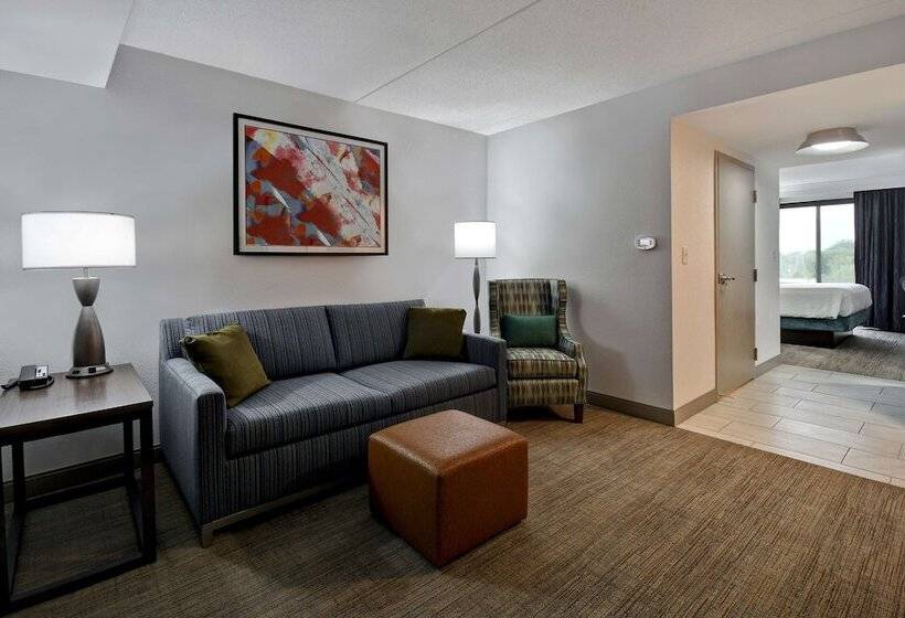 اتاق استاندارد, Hilton Garden Inn Detroit Metro Airport