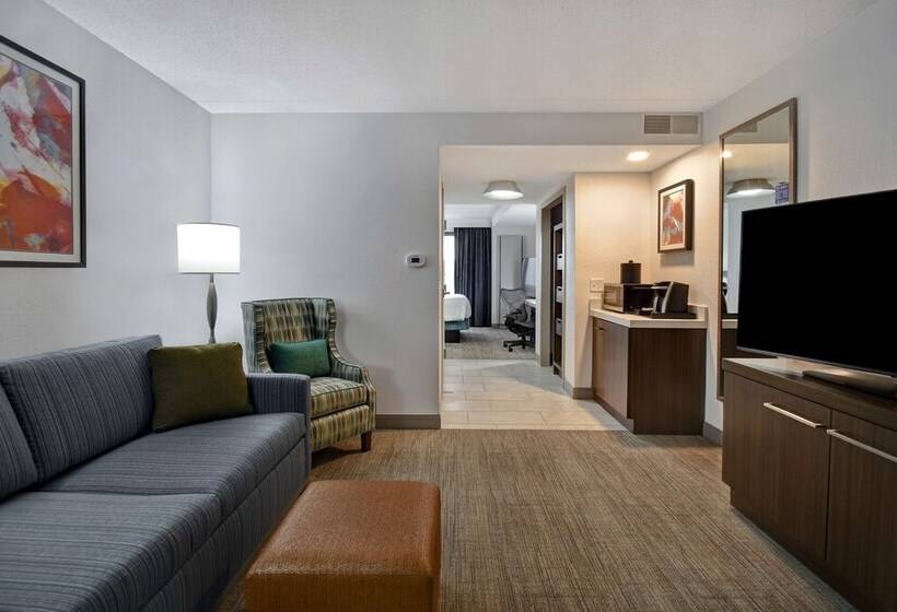 اتاق استاندارد, Hilton Garden Inn Detroit Metro Airport