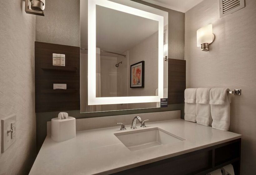 اتاق استاندارد, Hilton Garden Inn Detroit Metro Airport