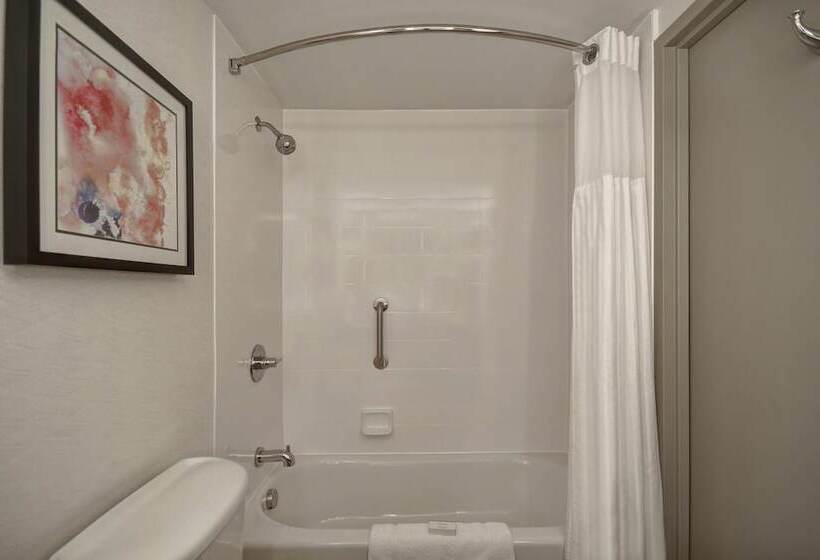 اتاق استاندارد, Hilton Garden Inn Detroit Metro Airport