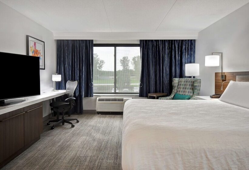 اتاق استاندارد, Hilton Garden Inn Detroit Metro Airport