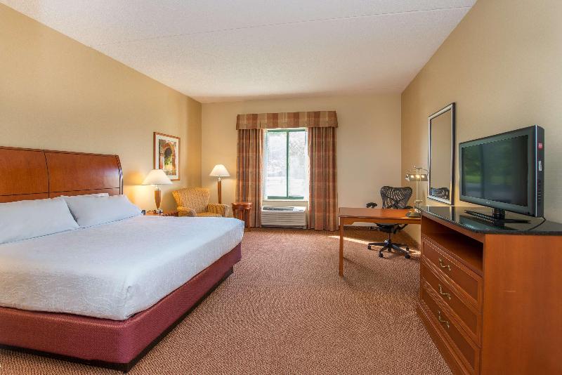 اتاق استاندارد با تخت بزرگ, Hilton Garden Inn Fishkill