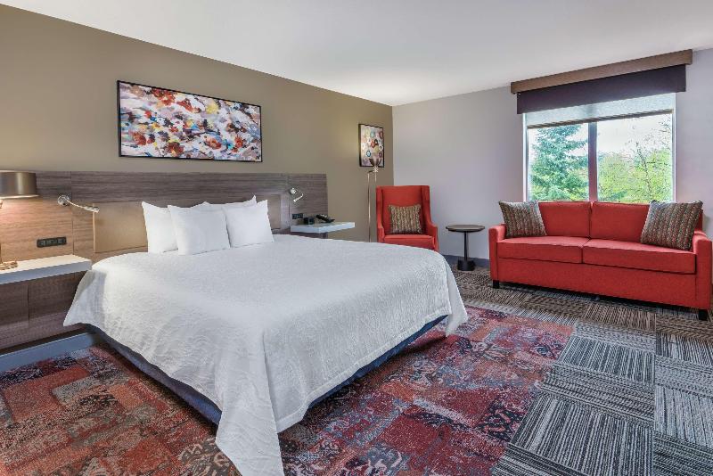 اتاق استاندارد با تخت بزرگ, Hilton Garden Inn Syracuse