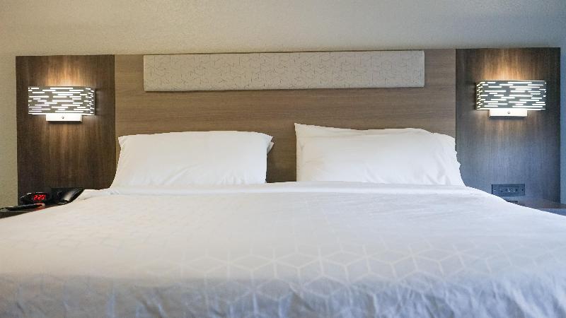 اتاق استاندارد با تخت بزرگ, Holiday Inn Express & Suites Lakeland North I 4, An Ihg