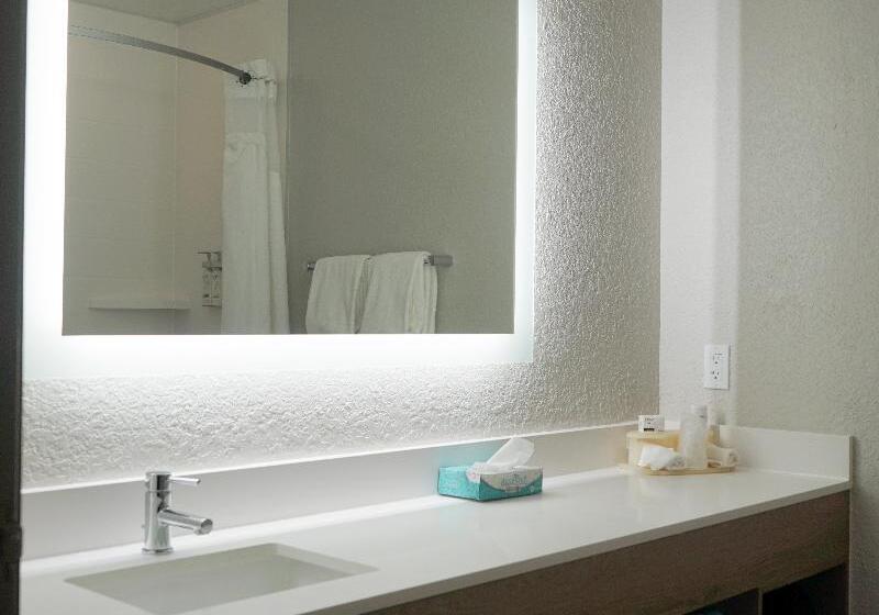 اتاق استاندارد با تخت بزرگ, Holiday Inn Express & Suites Lakeland North I 4, An Ihg