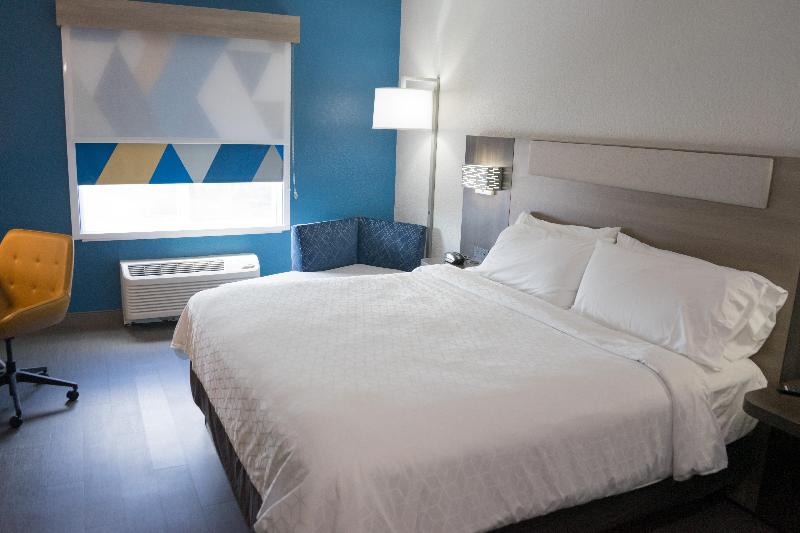 اتاق استاندارد با تخت بزرگ, Holiday Inn Express & Suites Lakeland North I 4, An Ihg