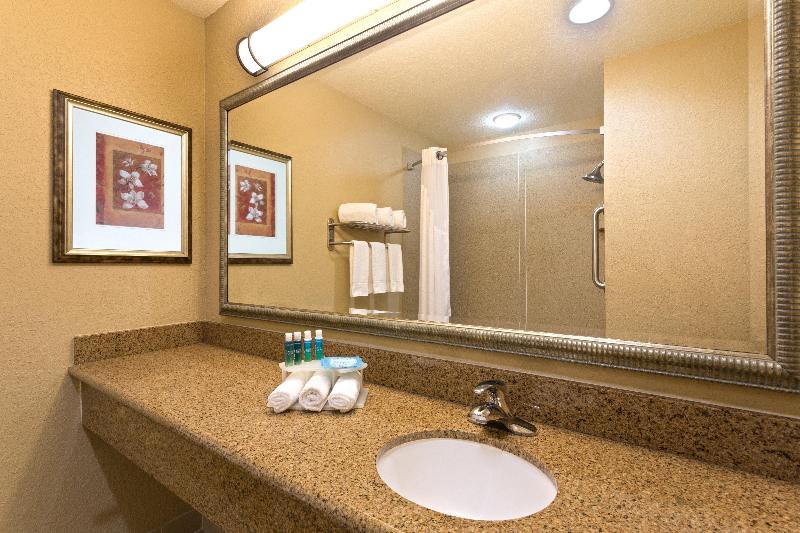 استودیو استاندارد با تخت کینگ, Holiday Inn Express & Suites Lakeland North I 4, An Ihg