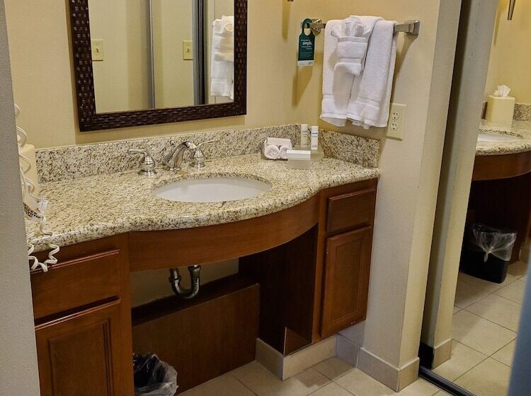 Suite, Homewood Suites By Hilton Laredo At Mall Del Norte