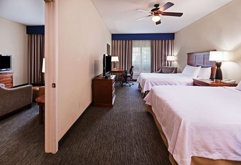 Suite, Homewood Suites By Hilton Laredo At Mall Del Norte