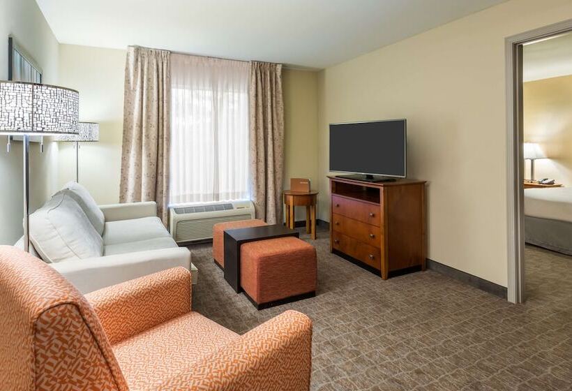 Suite, Homewood Suites By Hilton St. Louis Riverport Airport West