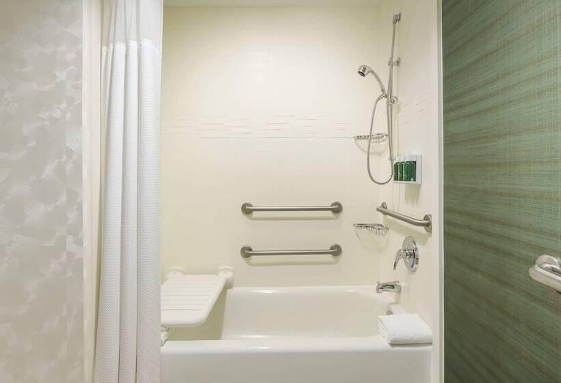 استودیوی استاندارد با تخت دو نفره بزرگ, Residence Inn Austin Downtown/convention Center