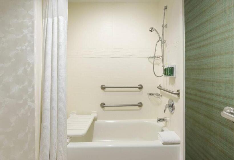 Studio Standard, Residence Inn Austin Downtown/convention Center