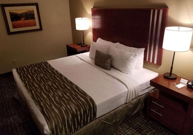 Standard Room Queen Size Bed, Surestay Plus  By Best Western Rocklin