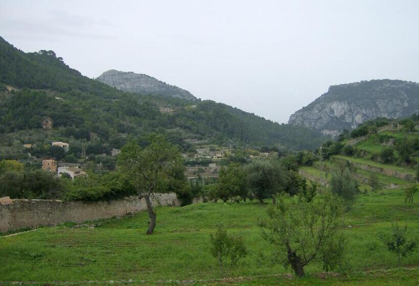 Superior Room with Terrace, Es Petit Hotel De Valldemossa