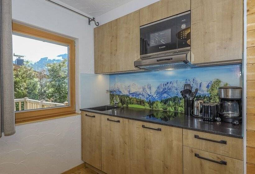 آپارتمان لوکس 1 خوابه, Gartenhotel Rosenhof Bei Kitzbühel