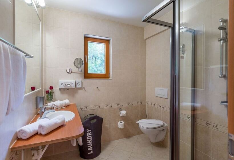 آپارتمان 3 خوابه, Gartenhotel Rosenhof Bei Kitzbühel