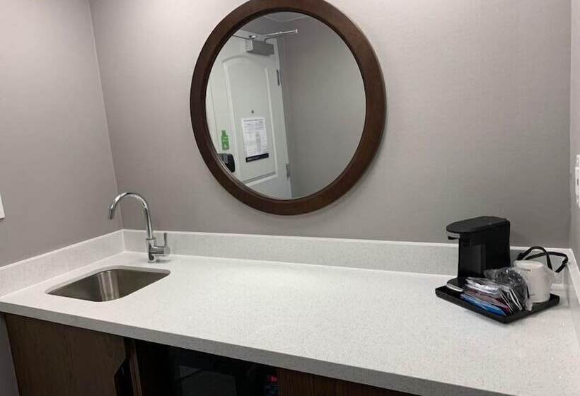 استودیوی استاندارد با تخت دوبل, Hampton Inn & Suites Syracuse Dewitt