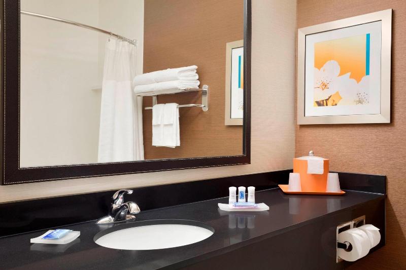 استودیو استاندارد با تخت کینگ, Hampton Inn & Suites Syracuse Dewitt