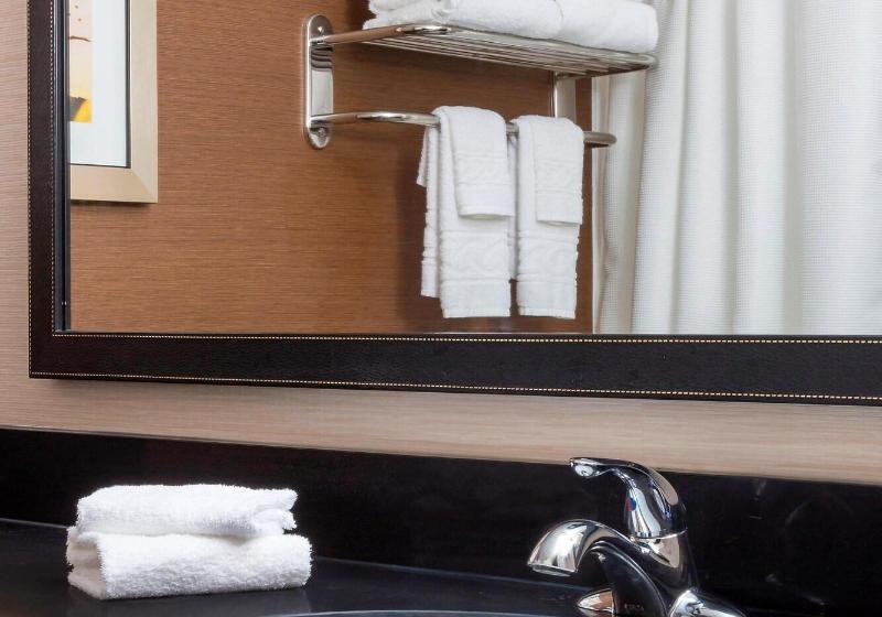 استودیو استاندارد با تخت کینگ, Hampton Inn & Suites Syracuse Dewitt
