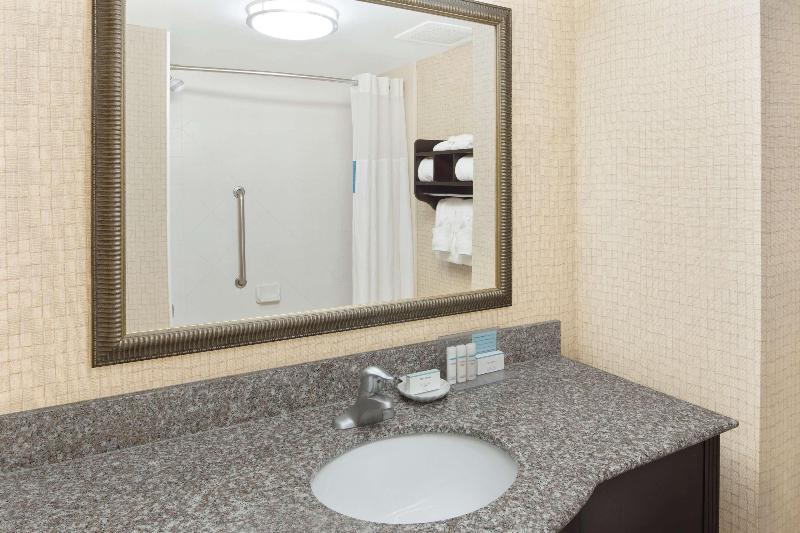 اتاق استاندارد با تخت دو نفره بزرگ, Hampton Inn & Suites Savannahairport
