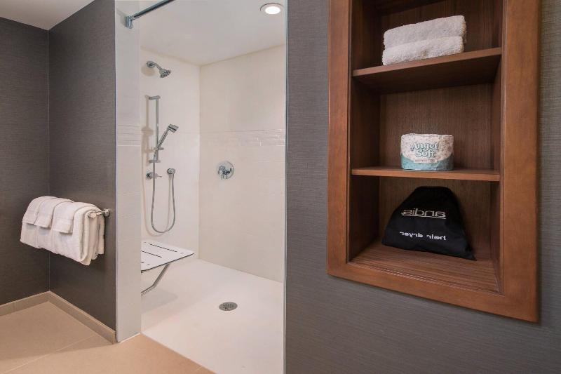 اتاق استاندارد برای معلولان, Hampton Inn Wilmingtonuniversity Area/smith Creek Station