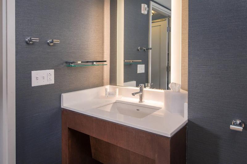 اتاق استاندارد برای معلولان, Hampton Inn Wilmingtonuniversity Area/smith Creek Station