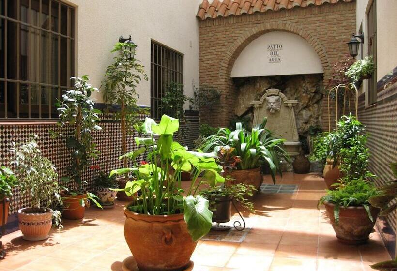 اتاق استاندارد, Hostal Palomares