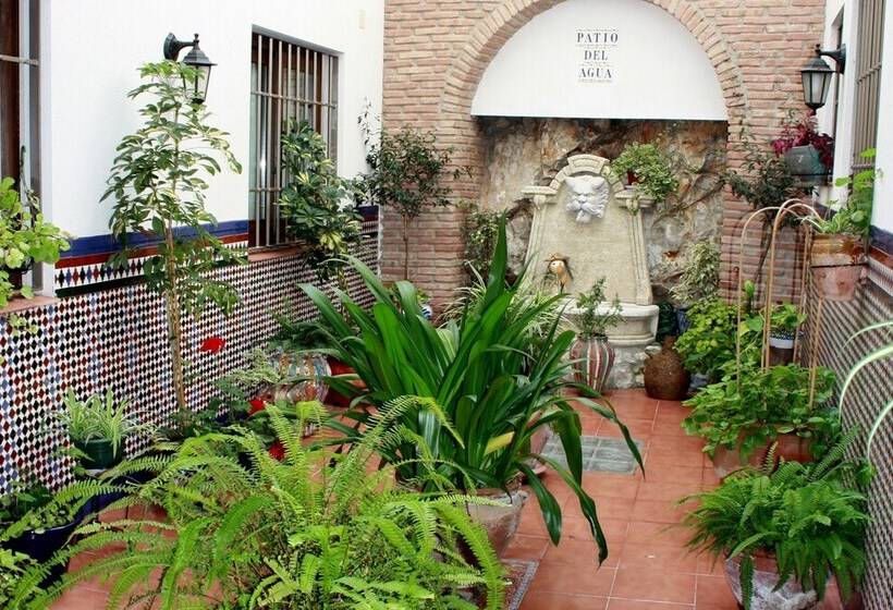 חדר סטנדרט, Hostal Palomares