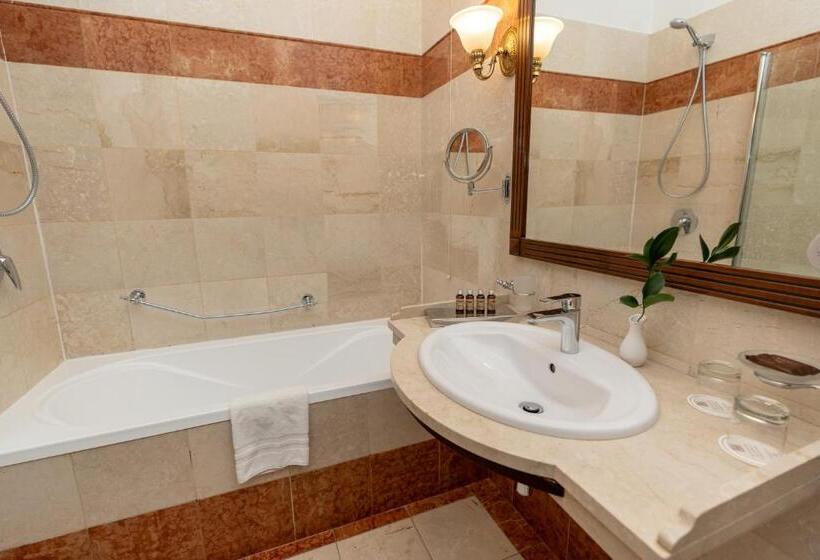 اتاق استاندارد, Bristol