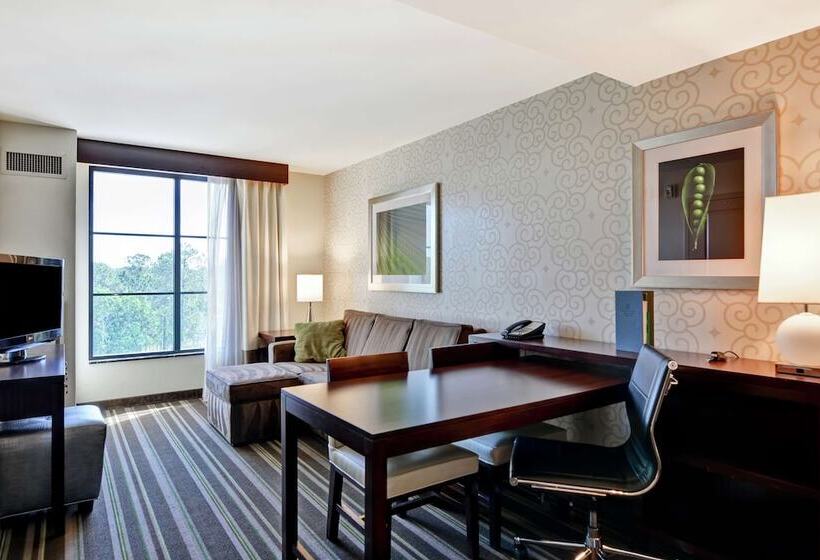 سوئیت برای معلولان, Embassy Suites By Hilton Savannah Airport