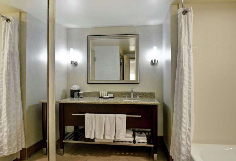 سوییت, Embassy Suites By Hilton Savannah Airport
