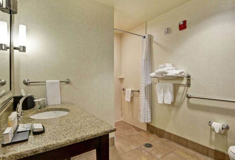 سوئیت برای معلولان, Embassy Suites By Hilton Savannah Airport
