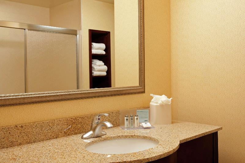 اتاق استاندارد با تخت بزرگ, Hampton Inn & Suites Indianapolis Airport
