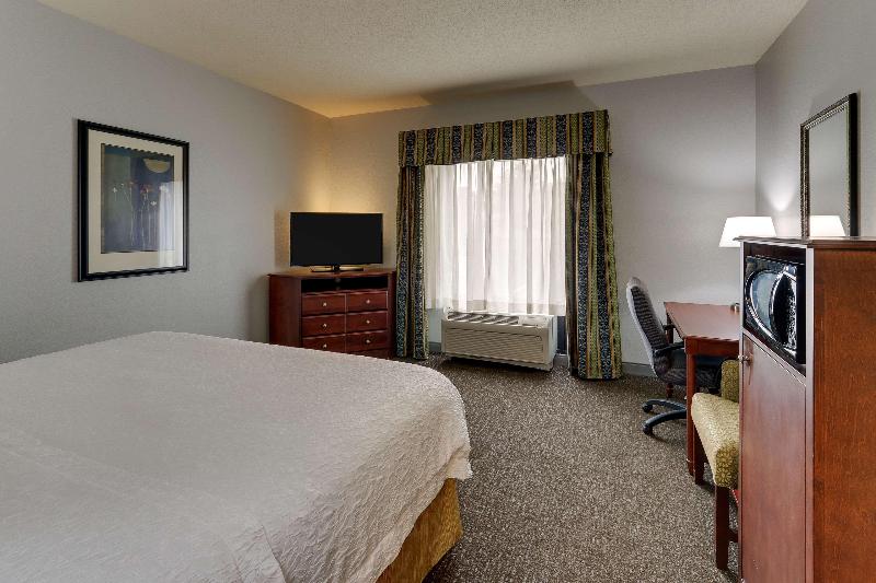 اتاق استاندارد با تخت بزرگ, Hampton Inn & Suites Indianapolis Airport