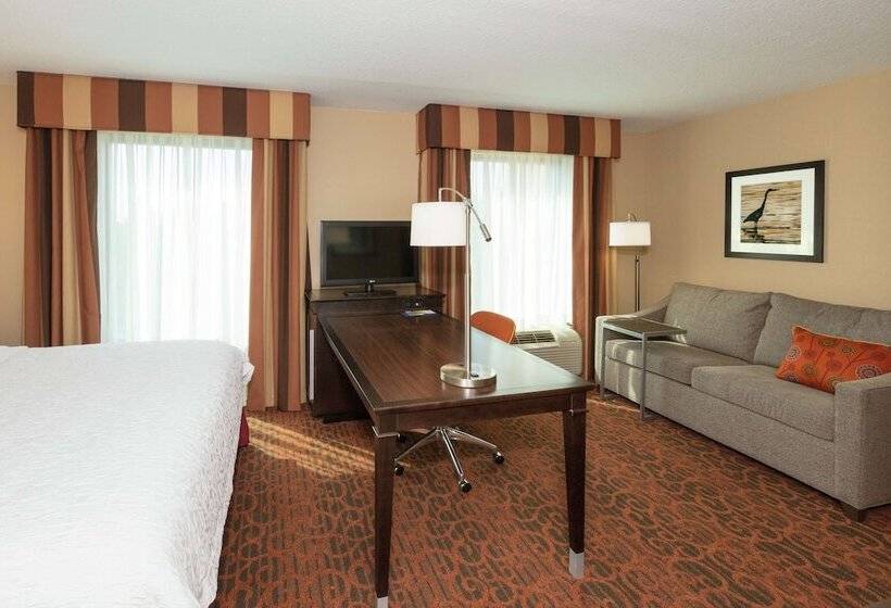 اتاق استاندارد, Hampton Inn Suites Jacksonville Airport