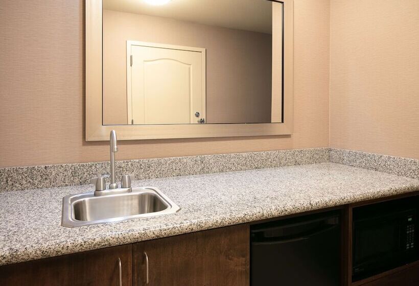 استودیوی استاندارد, Hampton Inn & Suites Lincoln   Northeast I 80