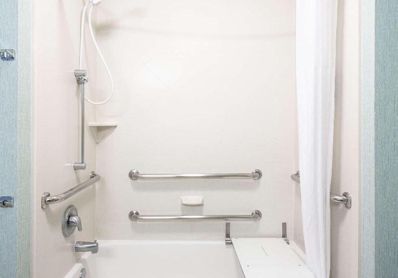 اتاق استاندارد با تخت بزرگ, Hampton Inn & Suites Lincoln   Northeast I 80